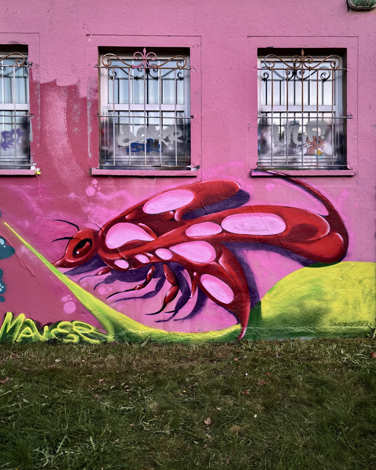 Graffiti Wall in Saalfeld/saale - Photo by MALER - maler, wasp, wespe (2026)