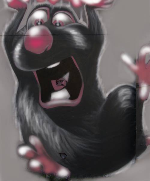 Graffiti Wall - Photo by MAS - ratatouille, graffiti, bordeaux (2013)