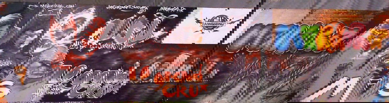 Graffiti Wall - Photo by MAS - Mas, bordeaux, fresque (2014)