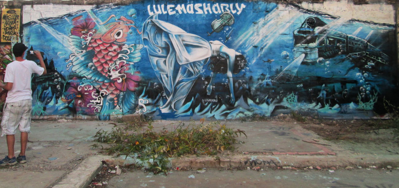 Graffiti Wall in Bordeaux - Photo by MAS - graffiti, art, water (2015)