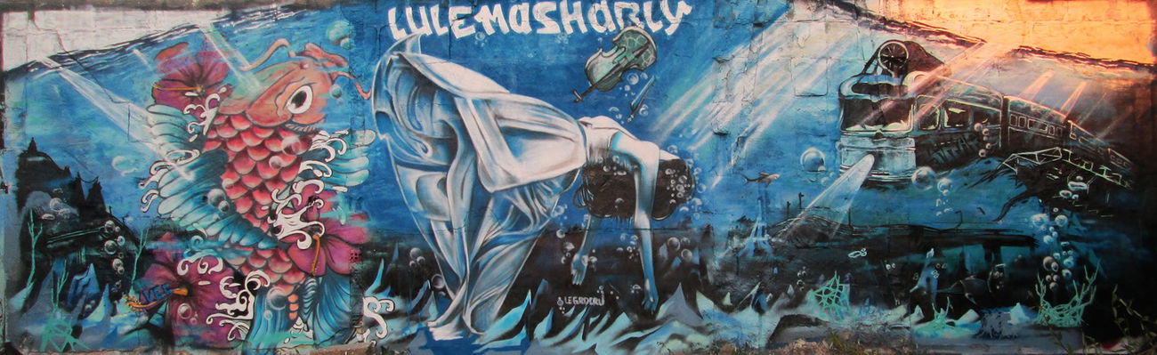 Graffiti Wall in Bordeaux - Photo by MAS - graffiti, art, water (2015)