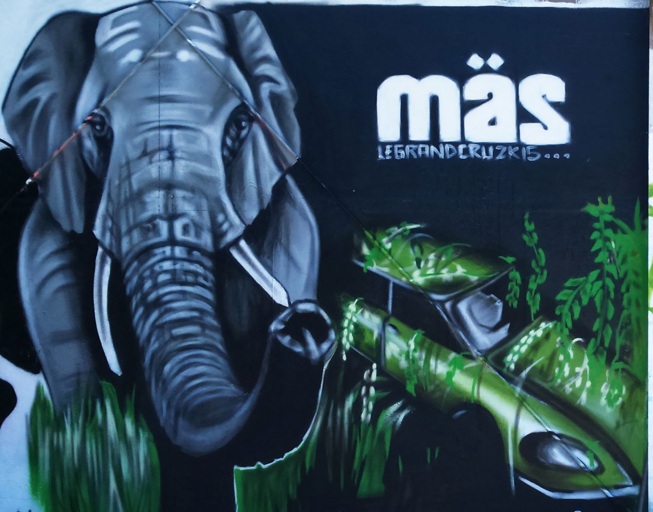 Graffiti Wall in France - Photo by MAS - graffiti, streetart, france (2015)