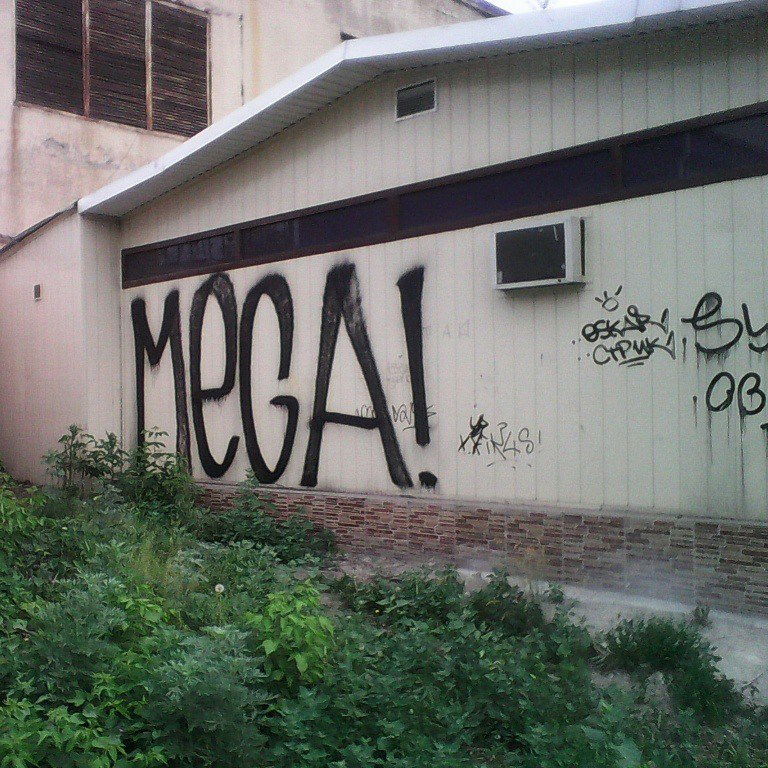 Graffiti Bombing - Photo by MEGA (2015)