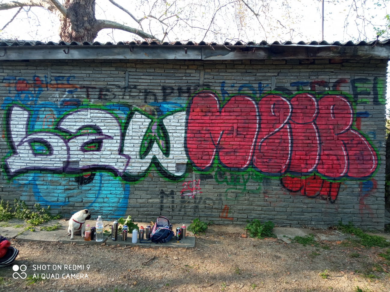 Graffiti Bombing in Пловдив - Photo by MEIR - @Baw23 (2021)