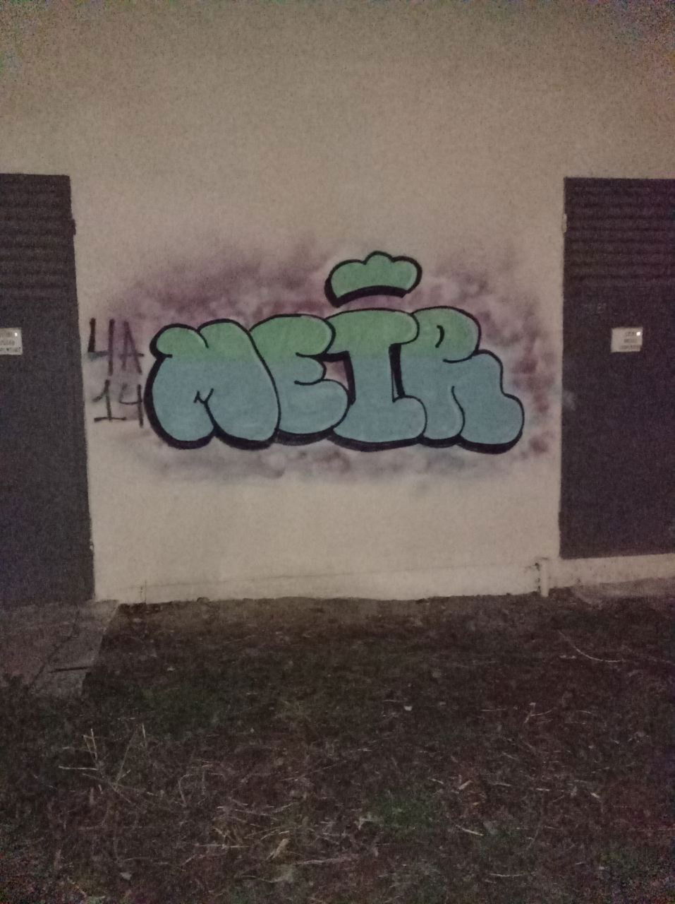 Graffiti Bombing - Photo by MEIR (2021)