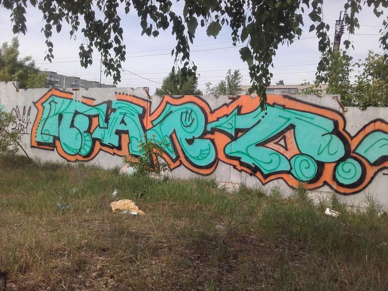 Graffiti Wall - Photo by MENO - Near_crime