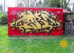 Photo #84526 by Spotted