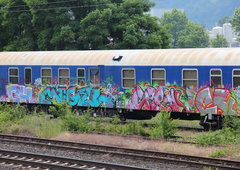 Photo #193149 by TagHagel