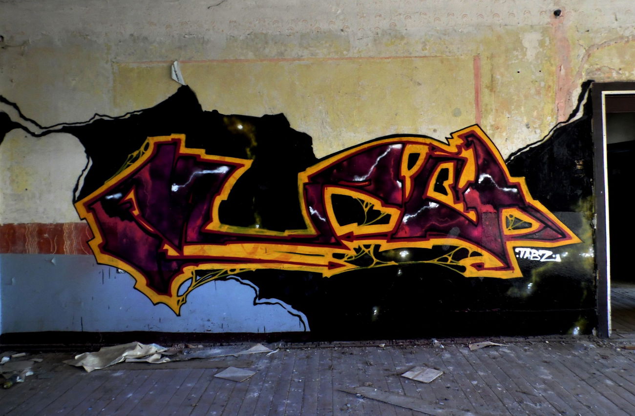 Graffiti Wall in Гродно - Photo by MIASA - ДИМА, МЯСА, MIASO (2015)