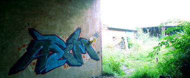 Graffiti Bombing - Photo by MIEA