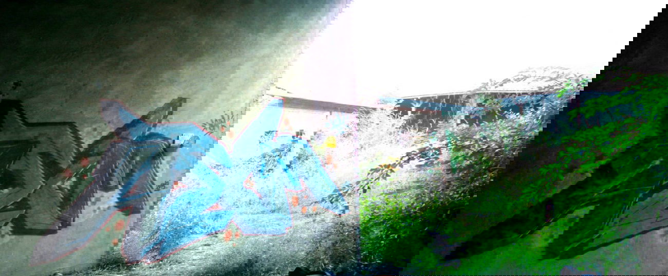 Graffiti Bombing - Photo by MIEA