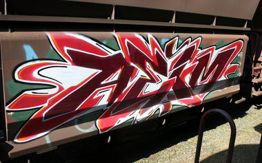 Graffiti Train - Photo by MIEA