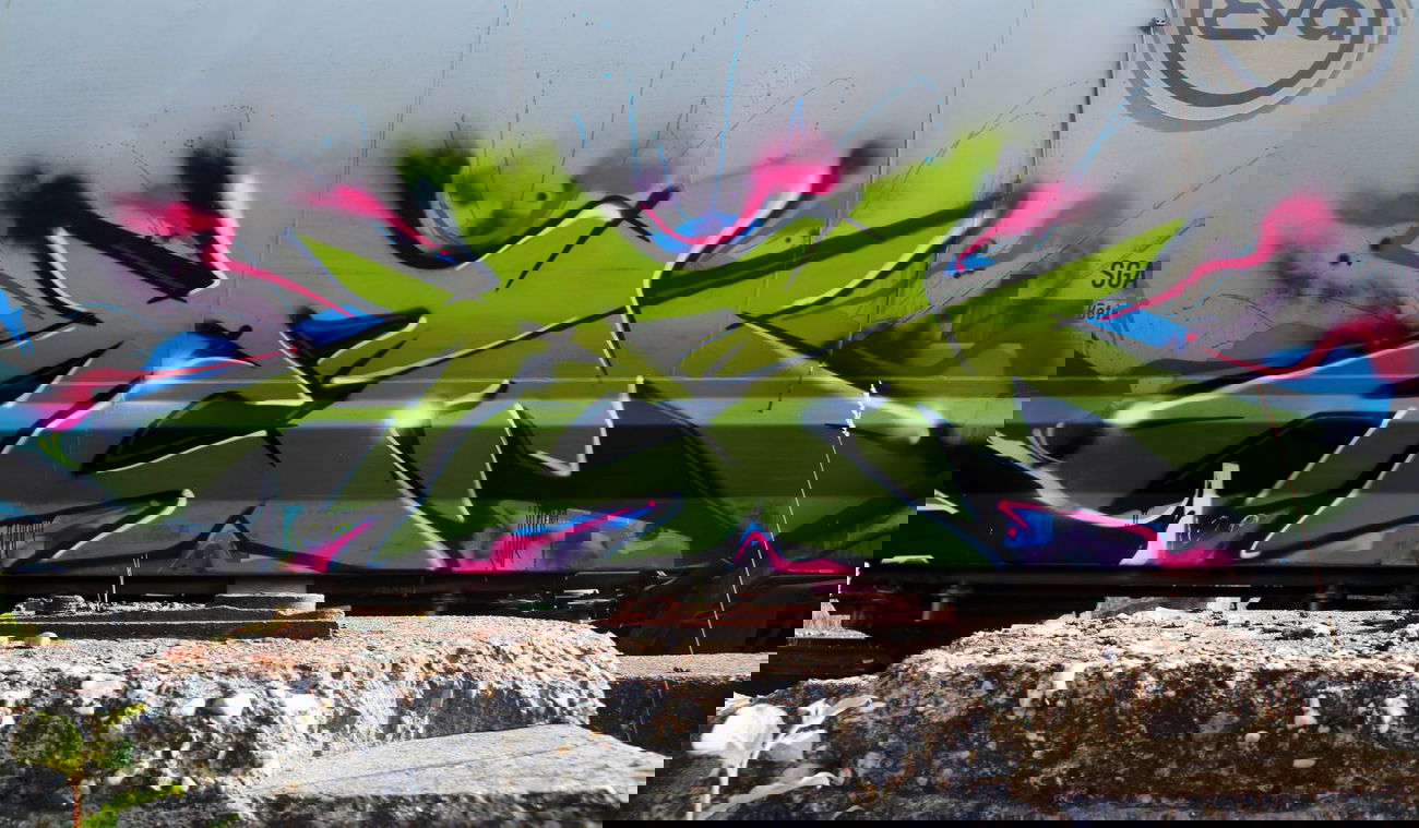 Graffiti Train - Photo by MIEA