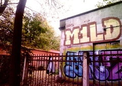 Photo #35630 by royalbone