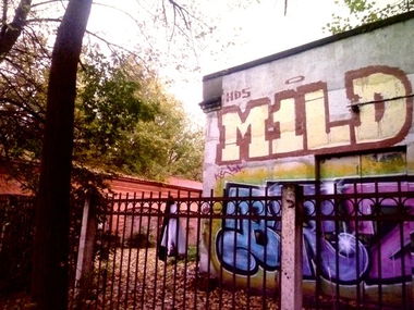Graffiti Wall - Photo by MILD