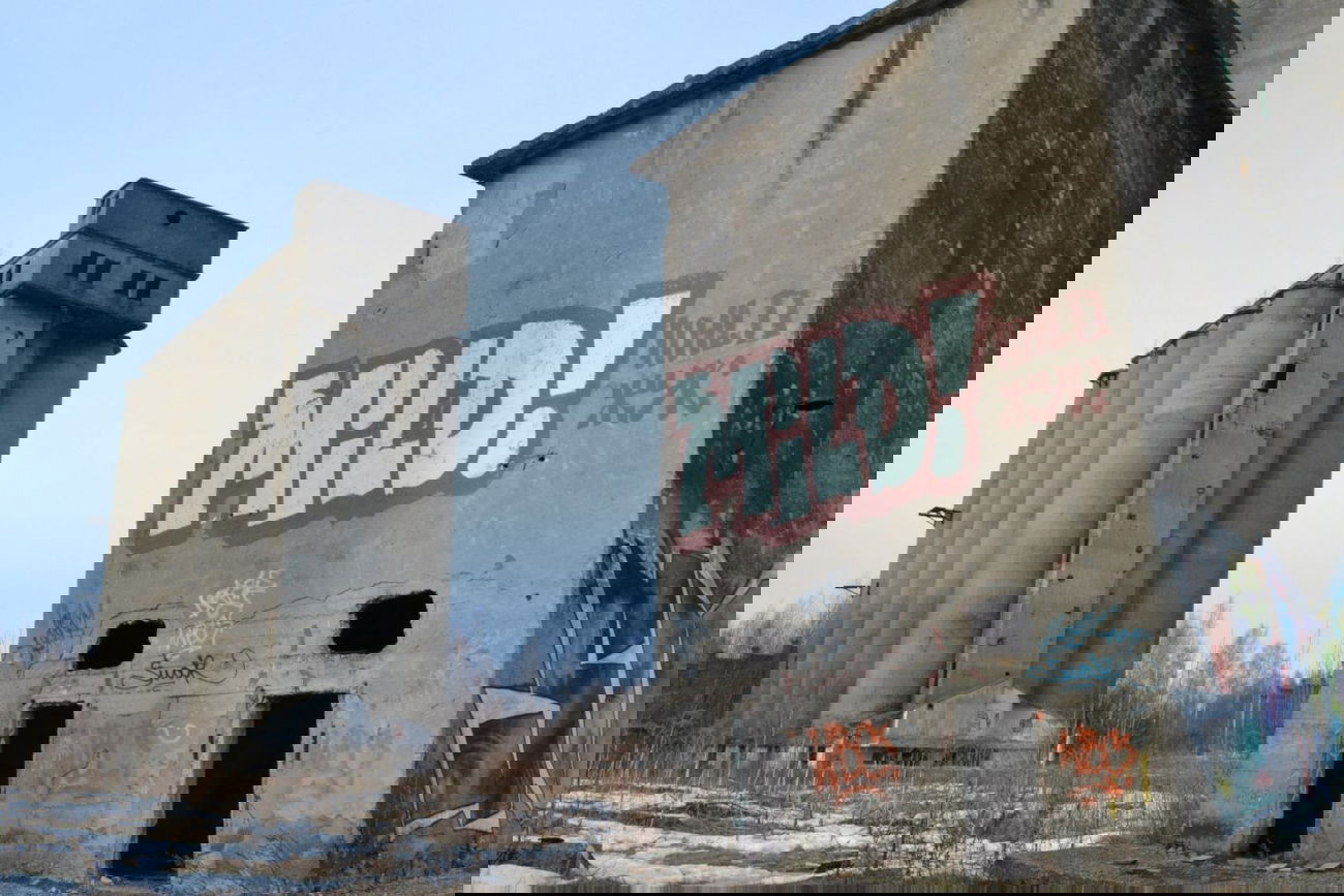 Graffiti Bombing - Photo by MILD