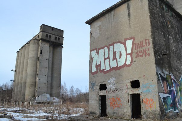 Graffiti Wall - Photo by MILD