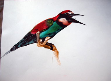 Graffiti Sketch - Photo by MING - ming, russia, irkutsk