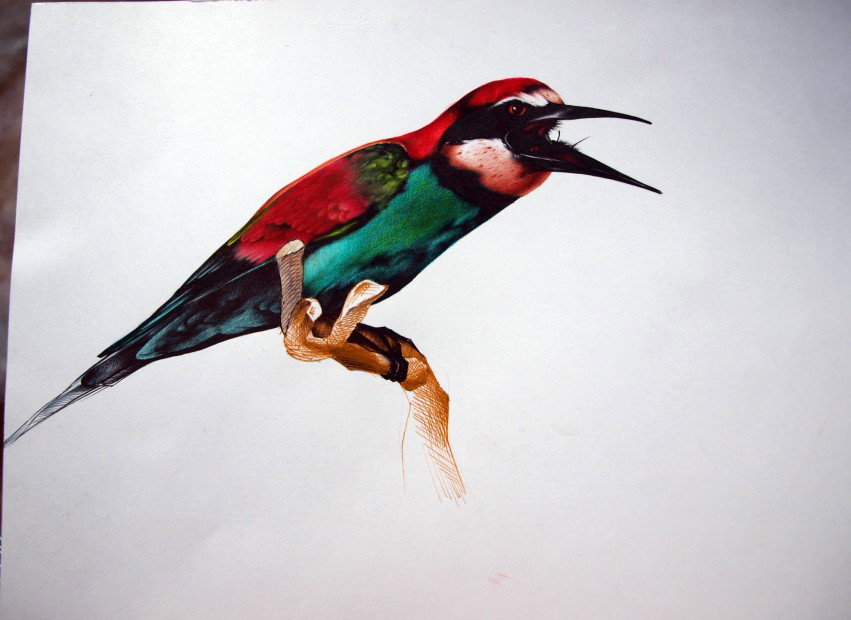 Graffiti Sketch - Photo by MING - ming, russia, irkutsk