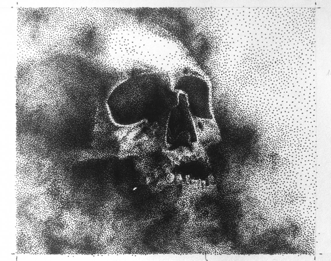 Graffiti Sketch - Photo by MING - skull