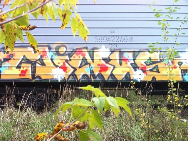 Graffiti Train - Photo by MINUS - MINUS