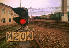 Photo #33828 by 1Roza5x