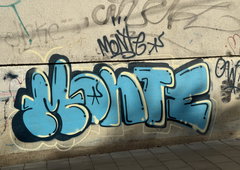 Photo #251196 by iobe1
