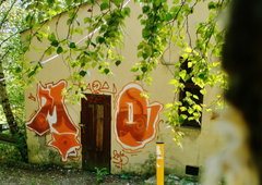 Photo #17859 by sunsnv