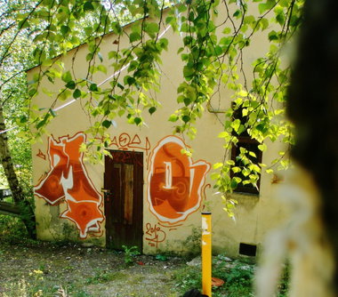 Graffiti Bombing - Photo by MOEmou