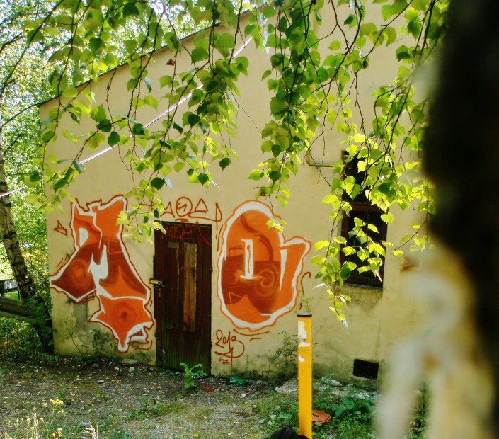 Graffiti Bombing - Photo by MOEmou