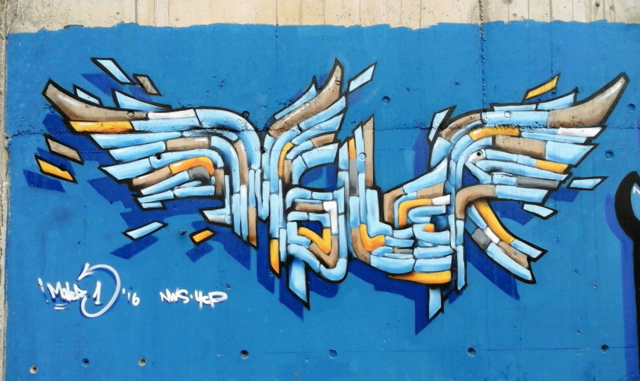 Graffiti Wall in Osijek - Photo by MOLER1 - moler1, molergraffiti, osijekgraffiti (2016)