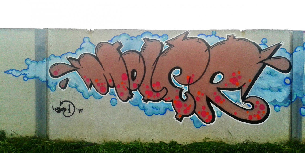 Graffiti Wall in Osijek - Photo by MOLER1 - moler1, molergraffiti, osijek (2017)