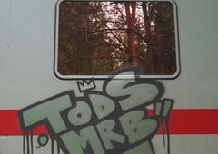 Graffiti Train - Photo by MRB - TODS, MRB (2019)