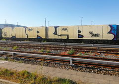 Graffiti Train - Photo by MRB - MRB (2020)