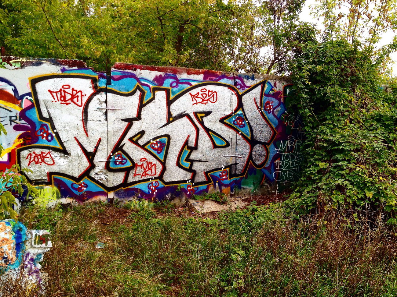 Graffiti Bombing - Photo by MRB - MRB (2015)