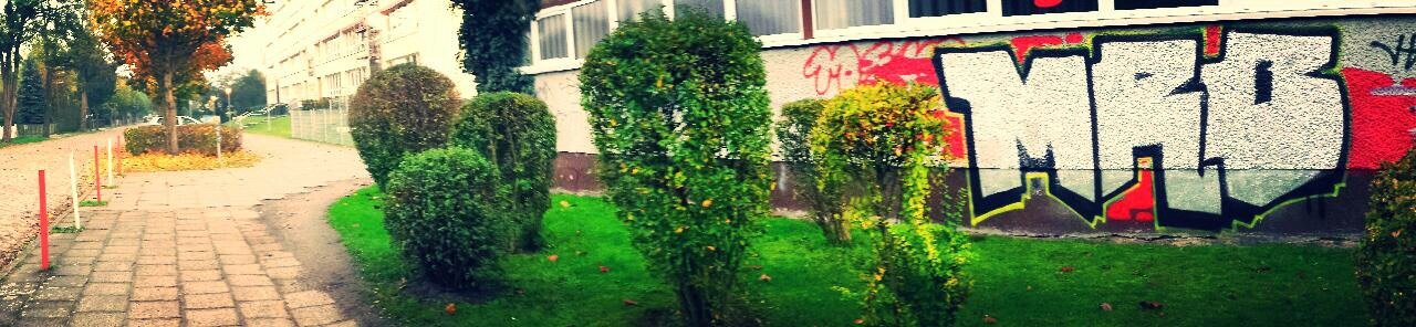 Graffiti Bombing - Photo by MRB - MRB (2014)