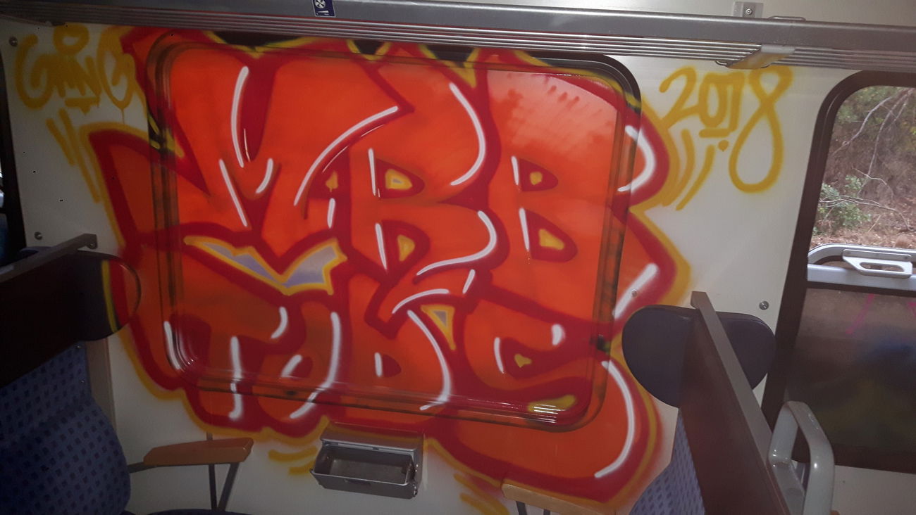 Graffiti Train - Photo by MRB - MRB, TODS (2018)
