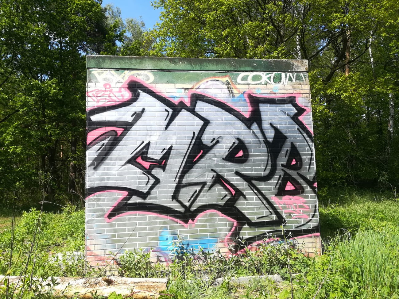 Graffiti Bombing - Photo by MRB - MRB (2020)