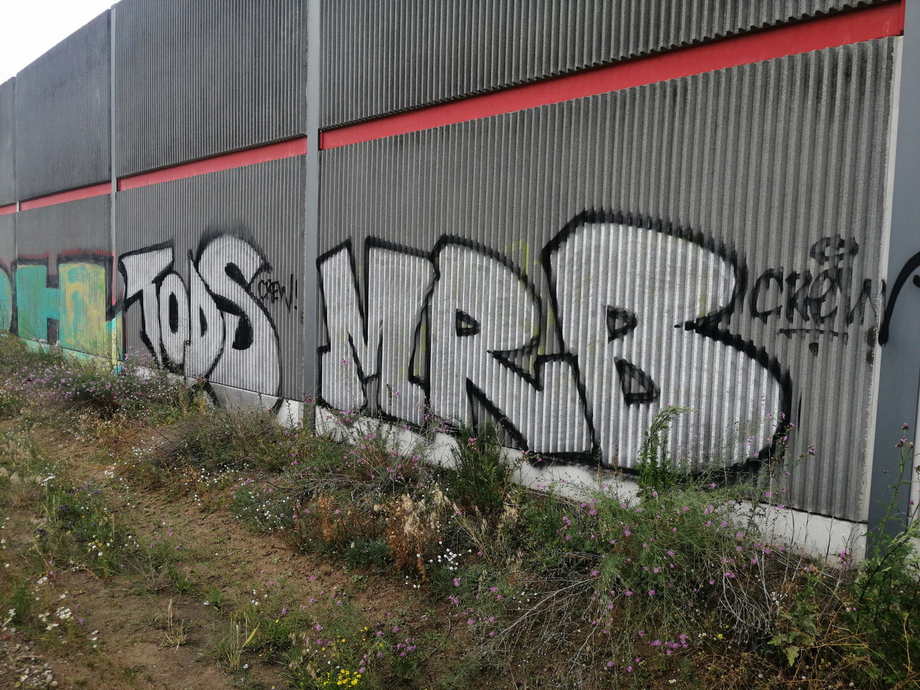 Graffiti Bombing - Photo by MRB - TODS, MRB (2019)