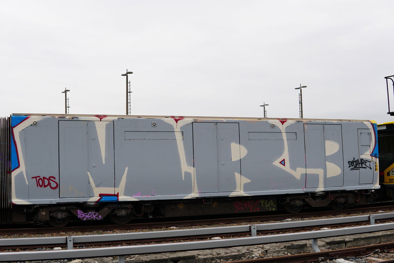 Graffiti Train - Photo by MRB - MRB (2020)