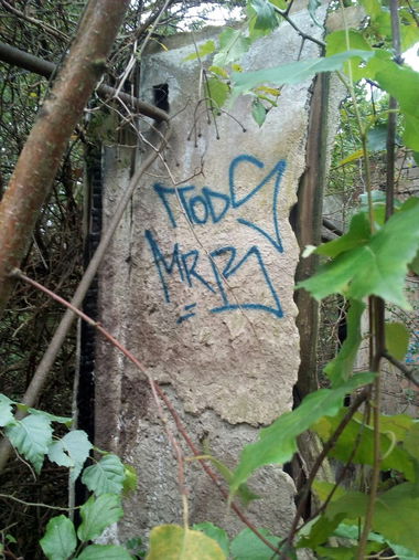 Graffiti Artwork - Photo by MRB - TODS, MRB (2017)