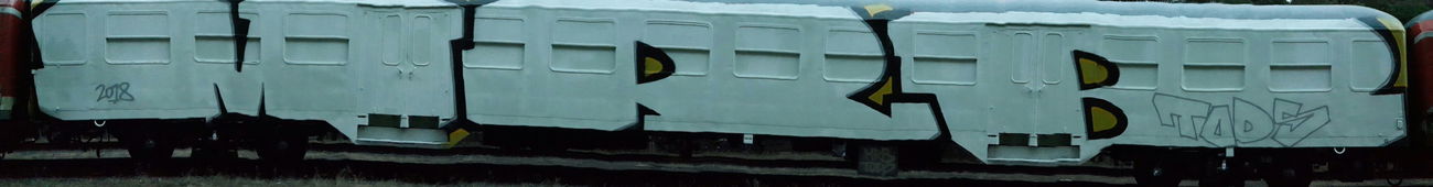 Graffiti Train - Photo by MRB - MRB, TODS (2018)