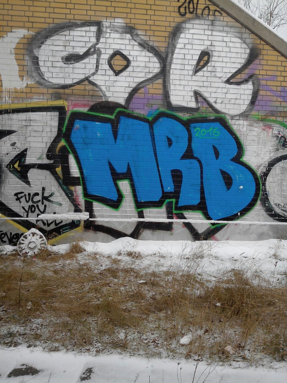 Graffiti Bombing - Photo by MRB (2016)