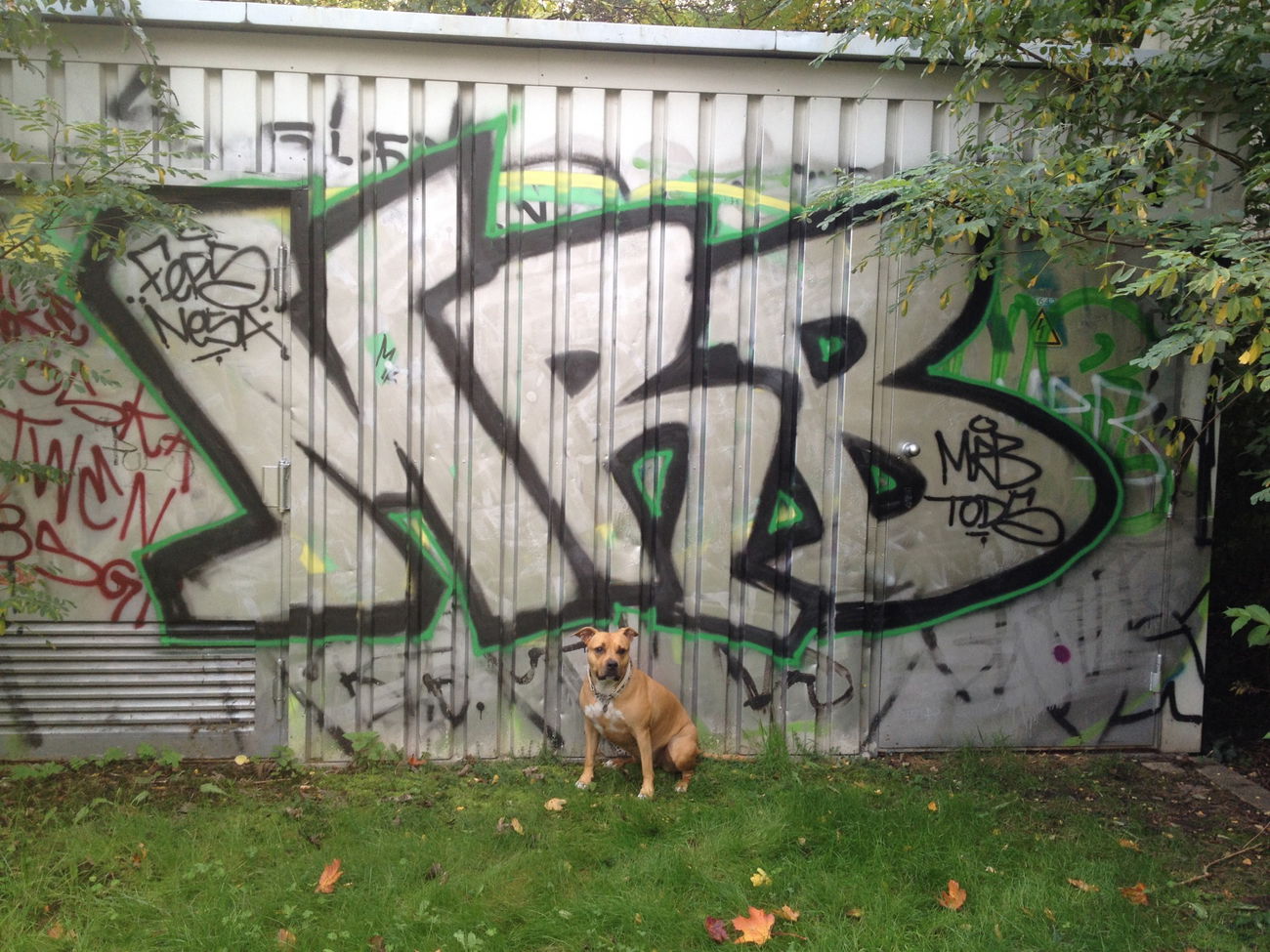 Graffiti Bombing - Photo by MRB - MRB (2015)