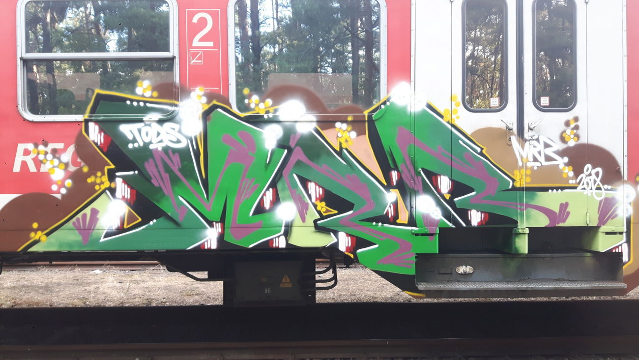 Graffiti Train - Photo by MRB - MRB, TODS (2018)