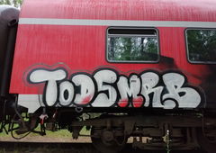 Graffiti Train - Photo by MRB - TODS, MRB (2019)