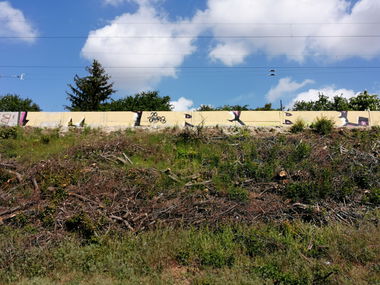 Graffiti Bombing - Photo by MRB - MRB (2020)