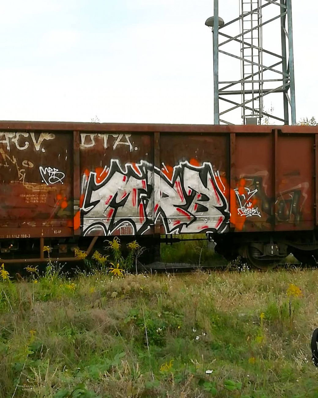 Graffiti Train - Photo by MRB - MRB (2019)