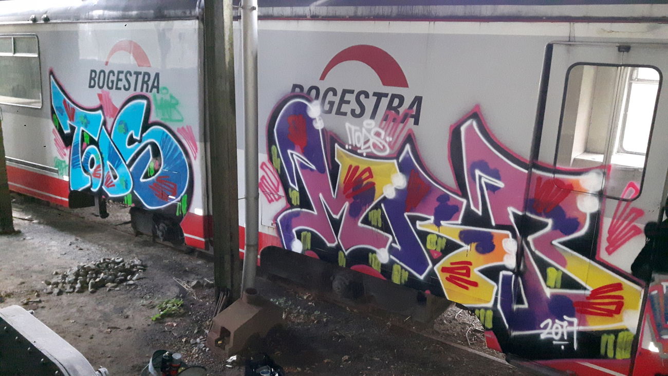 Graffiti Train - Photo by MRB - TODS, MRB (2017)