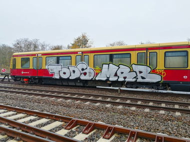 Graffiti Train - Photo by MRB - TODS, MRB (2019)